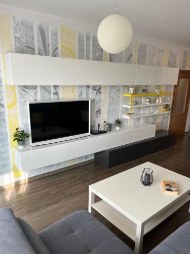 大特尔诺沃Apartment Marvi with Private parking place的客厅设有壁挂式平面电视。