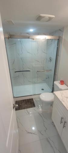 基奇纳Comfy basement near KW airport的一间带玻璃淋浴和卫生间的浴室