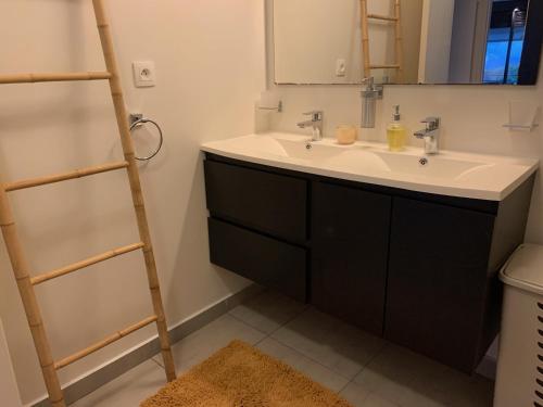 帕皮提Kaili Ocean view luxury 2BR AC throughout Fiber Wifi & Pool的一间带水槽、镜子和梯子的浴室