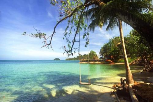 象岛Tropical Paradise Leelawadee Resort的海滩上棕榈树上的秋千