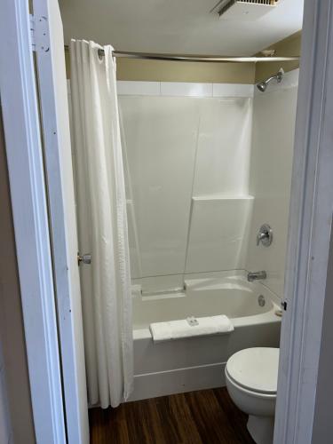 劳埃德明斯特古德奈特汽车旅馆的带浴缸、卫生间和淋浴的浴室。