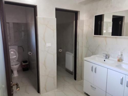 古拉哈莫卢洛伊Casa Nicoleta的一间带水槽、卫生间和淋浴的浴室