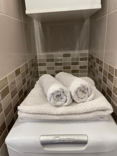 BečejApartman Central A&D的浴室里厕所的毛巾堆