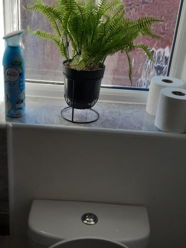 拉什登Our Guests的坐在厕所旁边的窗台上的植物