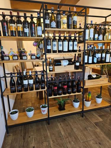 迪夫亚卡Green Park Divjakë的商店里装满葡萄酒瓶的货架