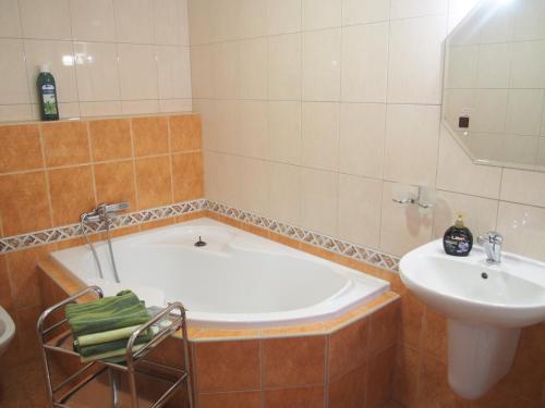 布尔诺附近斯拉夫科夫奥尔加酒店的带浴缸和盥洗盆的浴室