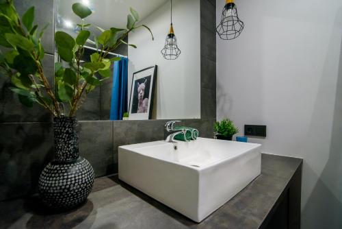 维尔纽斯Apartment in Vilnius Center的浴室设有白色水槽和花瓶,种植了植物