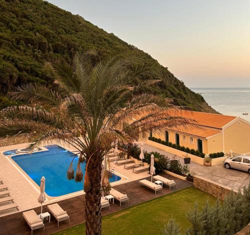 帕莱欧卡斯提撒Corfu valley view的棕榈树,在一座带游泳池的房子前