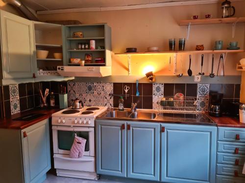 ÖverkalixArctic Circle Cabin的厨房配有蓝色橱柜、水槽和炉灶。