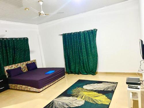 YamoransaOLIVER COTTAGE GUESTHOUSE的带沙发和绿色窗帘的客厅