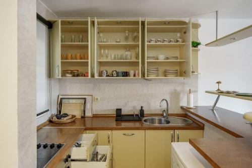兹拉蒂博尔The Greens Family House的厨房配有黄色橱柜和水槽