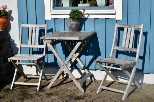 奥克什贝里亚Sjöstuga/gästhus i skärgården.的两把椅子和一张木桌,上面有盆栽植物
