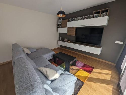 布尔戈斯Piso completo y moderno, Burgos的客厅配有灰色沙发和平面电视