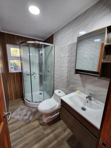 科克拉内Casa Cochrane的带淋浴、卫生间和盥洗盆的浴室