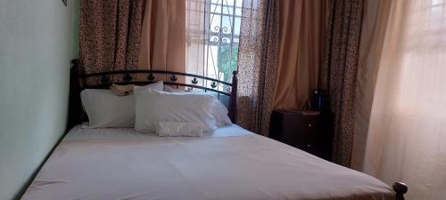 洛尼湾村Apartment Joanna的一张带白色床单和枕头的床,靠窗