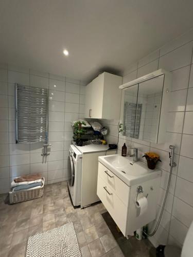 哥德堡Spacious private room in a Vegan household的一间带冰箱和水槽的小厨房
