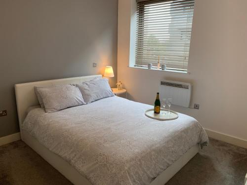 曼彻斯特2 Bedroom Apartment - Close to Piccadilly Train Station / Edge of the Northern Quarter的一间卧室配有一张床,并备有一瓶葡萄酒
