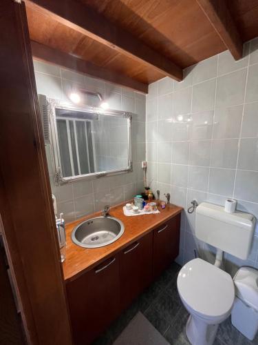 Krška VasVineyard Čatež haus的一间带水槽、卫生间和镜子的浴室