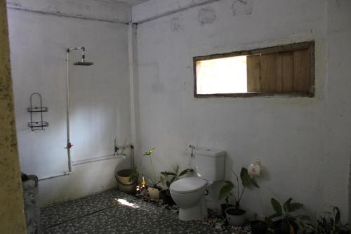 EkasFeby's Homestay的浴室设有卫生间和植物