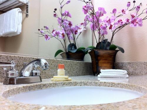 洛杉矶迪克西好莱坞酒店的浴室水槽,带紫色花卉和镜子
