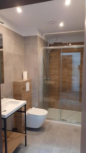 卡尔帕奇Skalnica的带淋浴、卫生间和盥洗盆的浴室