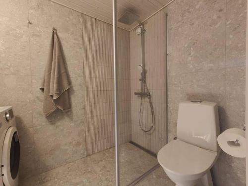 海门林纳Kodikas juuri remontoitu yksiö keskustassa的浴室配有白色卫生间和淋浴。