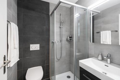 因特拉肯Studio NATASCHA Interlaken的带淋浴、卫生间和盥洗盆的浴室
