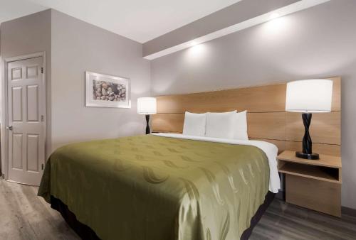 戈尔兹伯勒Quality Inn near Seymour Johnson AFB的酒店客房设有一张大床和两盏灯