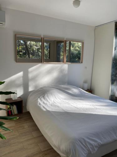 尼姆La Canopée Private Lodge的卧室设有一张带窗户的白色大床