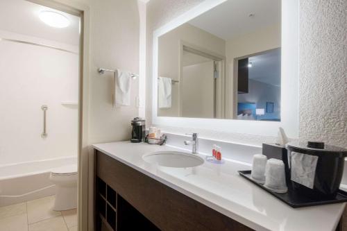 弗利Econo Lodge Inn & Suites Foley-North Gulf Shores的一间带水槽和镜子的浴室