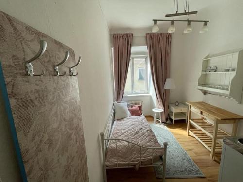 格拉茨Graz City Centre Apartment的客房设有一张床、一张桌子和一张书桌。
