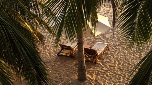 尼拉瓦利兰卡豆蔻的海滩上有一两把椅子和一棵棕榈树
