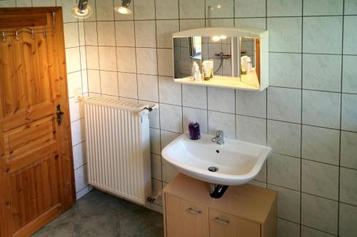 NeuhermsdorfKammbaude Neuhermsdorf的一间带水槽和镜子的浴室
