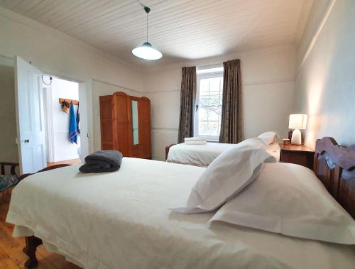 博福特西Grootfontein Farm House的一间卧室设有两张床和两个窗户。