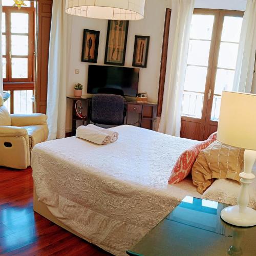 格拉纳达Donde Antonio的一间卧室配有一张带灯具的床和一台电视