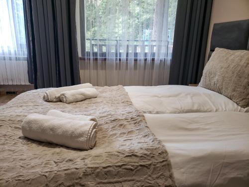 波罗维茨Cozy Riverside Pine Studio E5的一张带两条毛巾的床和窗户