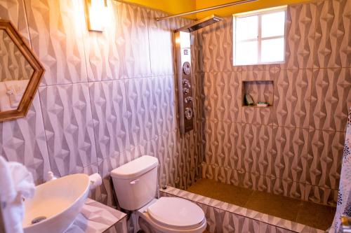 金斯敦Golden Palms Apartment的一间带卫生间和水槽的浴室
