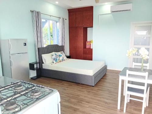 昂斯拉雷区Serenity Seaview Suite的小房间设有床和厨房