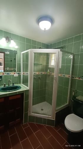 博卡奇卡Villas at Gone Fishing Panamá Resort的绿色浴室设有淋浴和水槽