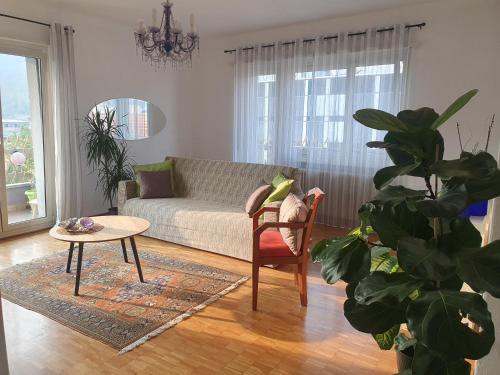 基亚索Charming Penthouse near Como lake的带沙发、桌子和植物的客厅
