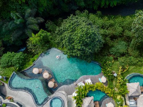 德格拉朗Aksari Resort Ubud by Ini Vie Hospitality的花园内两个游泳池的空中景致