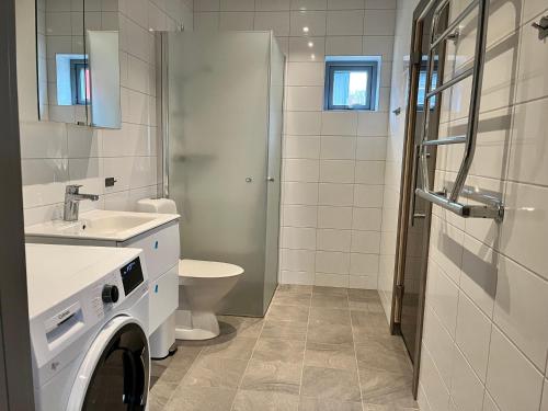 菲奈斯达伦Salmons väg Funäsdalen的浴室配有卫生间水槽和洗衣机。