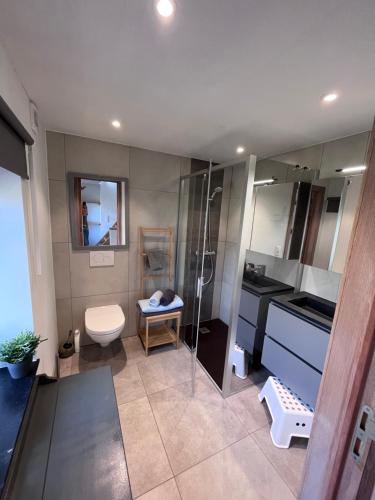 迪南L’Aragne的带淋浴、卫生间和盥洗盆的浴室