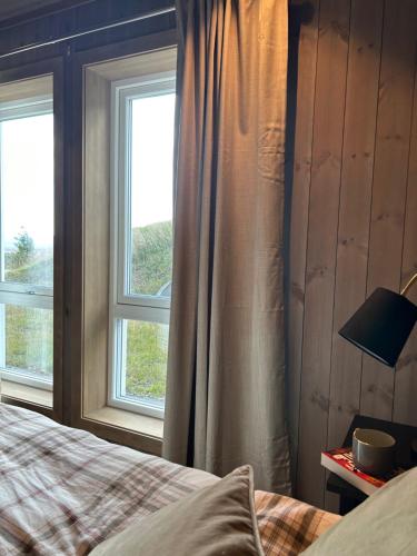高尔Bualie Golsfjellet的一间卧室设有一张床和两个窗户。