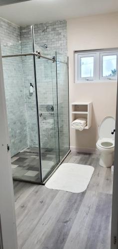 ChoiseulThe Island Experiences Luxury Villa的一间带玻璃淋浴和卫生间的浴室