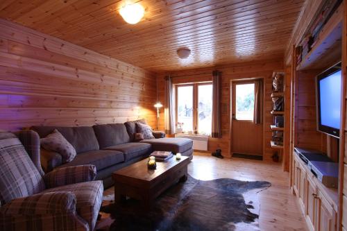 KalániaBeautiful Chalet on Mt. Parnassos near ski resort的带沙发和电视的客厅