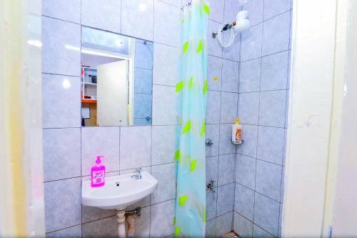 KiambuEnac Homes - Classy, Elegant Executive Studios - Kiambu Road的一间带水槽和镜子的浴室