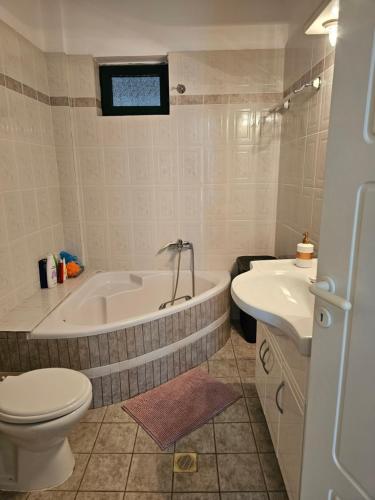 特里卡拉Pallantza Estate Trikala的带浴缸、卫生间和盥洗盆的浴室