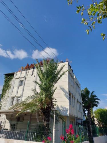 安塔利亚Beldibi Apart Homes的一座白色的建筑,前面有棕榈树