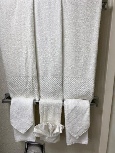 佩里斯堡佩里斯堡智选假日酒店的浴室毛巾架上悬挂的一组毛巾